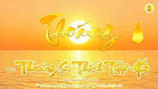 PHÂN TÍCH “THOÁNG” PHIÊN BẢN 8